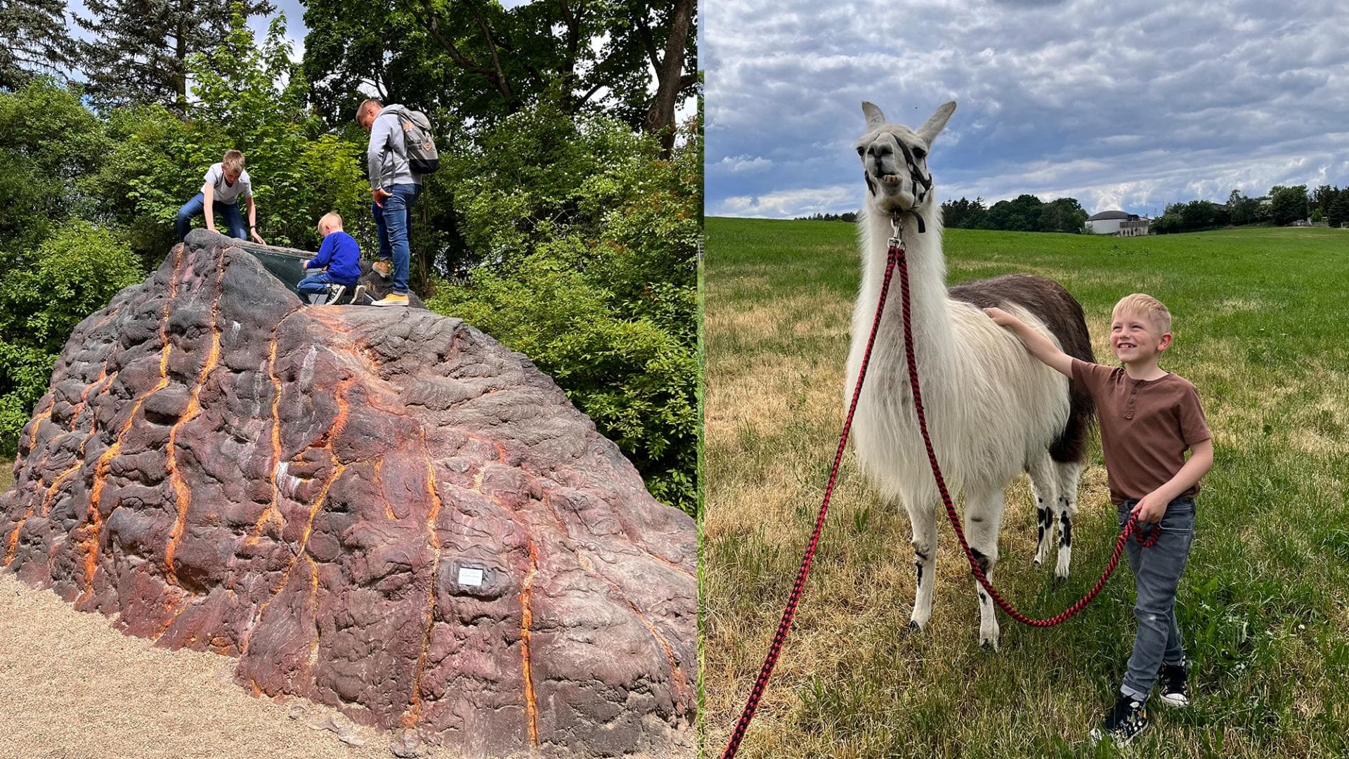 Der Besuch der Drachenhöhle Syrau mit Abenteuerspielplatz und die Lamawanderung sind die perfekten Familienaktivitäten Der Besuch der Drachenhöhle Syrau mit Abenteuerspielplatz und die Lamawanderung sind die perfekten Familienaktivitäten