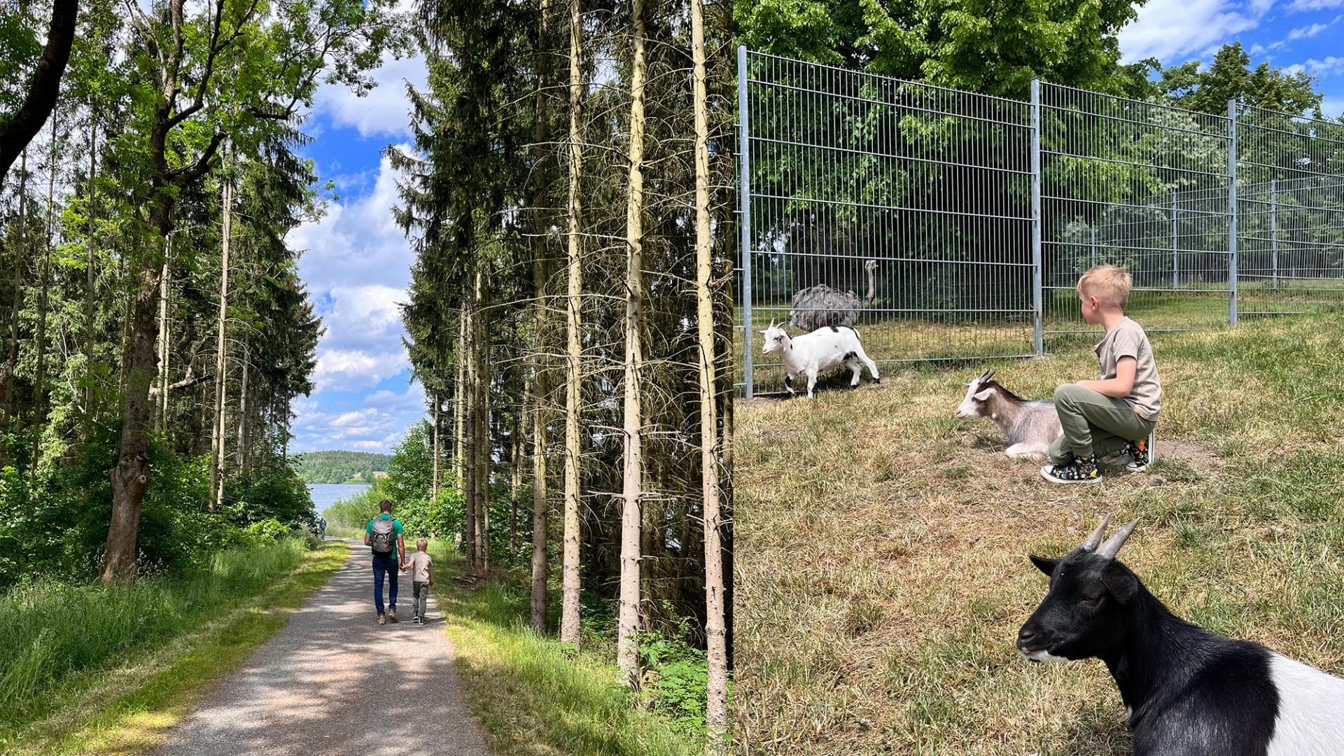 Wanderung rund um das Zeulenrodaer Meer. Wanderung rund um das Zeulenrodaer Meer.