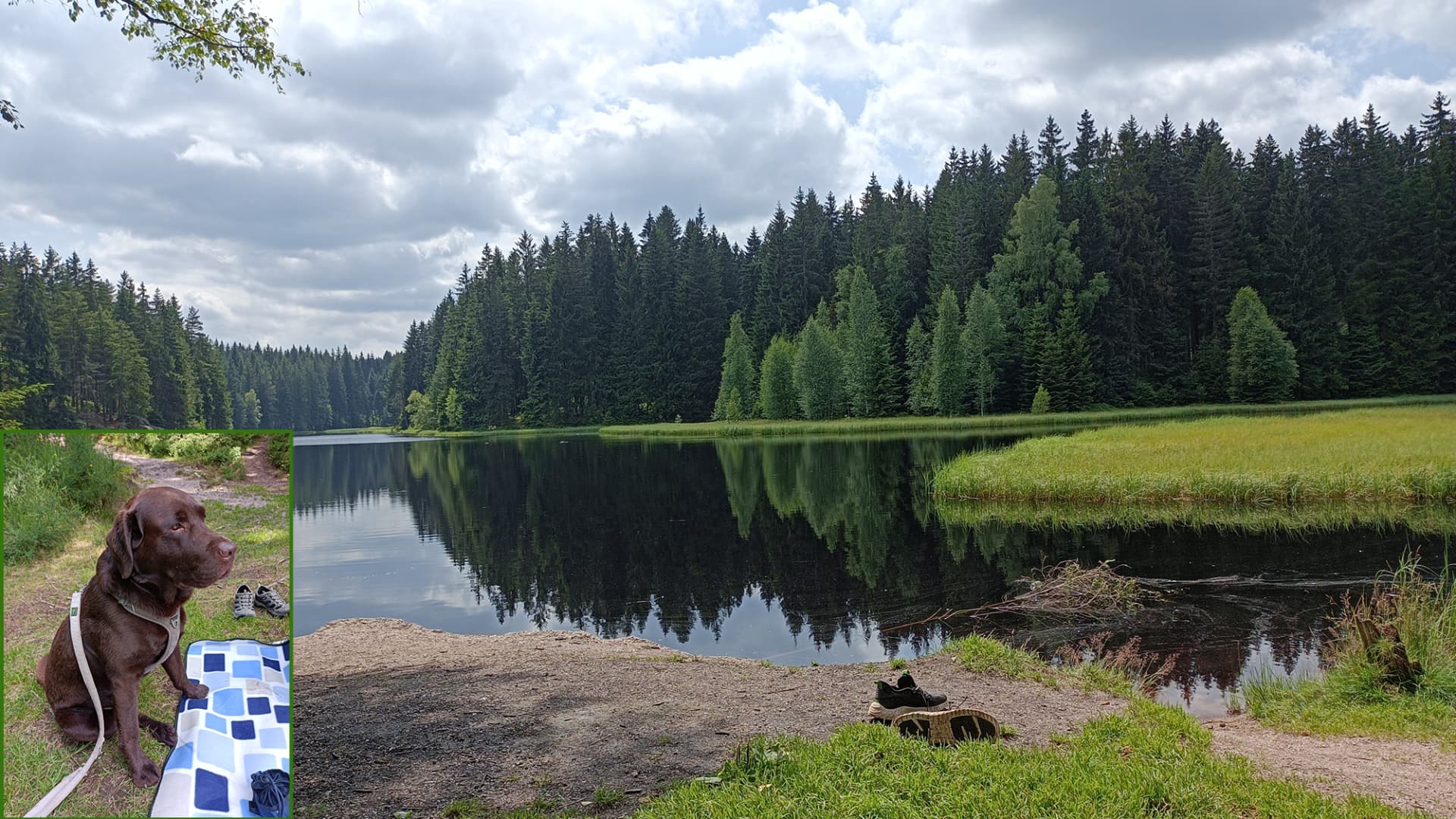 Picknick am Vogtlandsee mit Hund Bruno. Picknick am Vogtlandsee mit Hund Bruno.