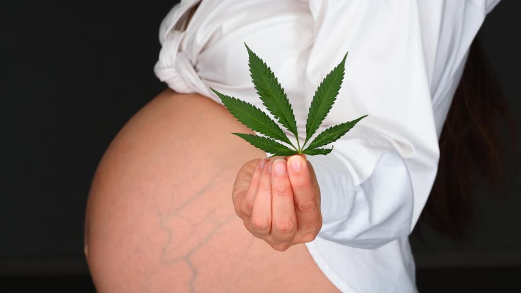 CBD in der Schwangerschaft