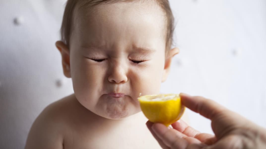 Ein kleines Baby isst eine Zitrone und verzieht das Gesicht.