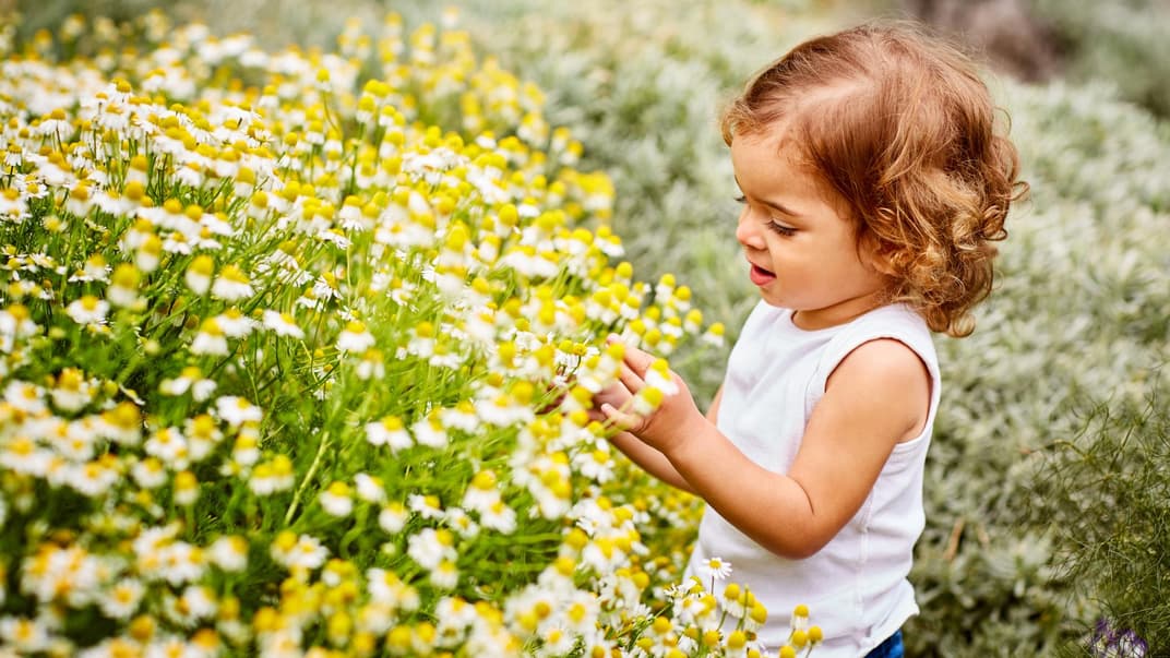 Ein kleines Mädchen steht auf einer Blumenwiese und greift nach einer Blüte.