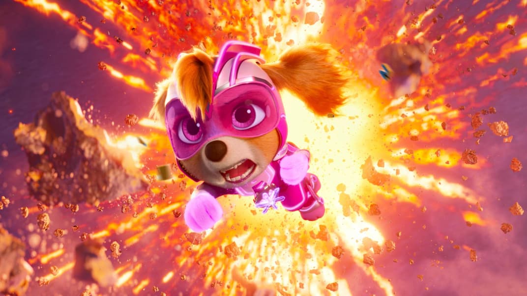 Skye von Paw Patrol