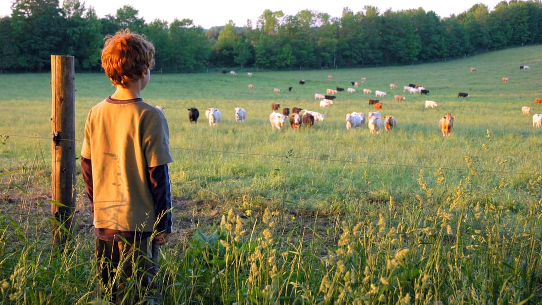Wachsen Kinder auf dem Land wirklich glücklicher auf? 