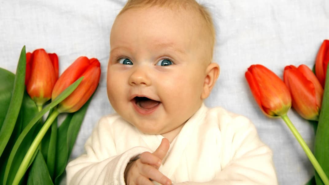 Süßes Baby inmitten von Tulpen zeigt den Daumen hoch