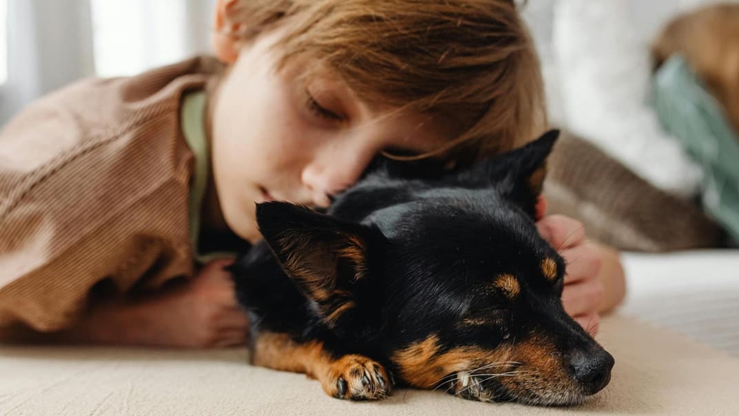 Ein Hund kuschelt mit einem Jungen. 