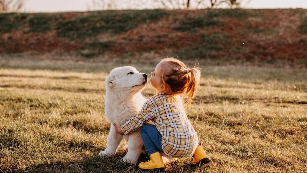 Ein kleines Mädchen hockt vor einem Hund. Sie schauen sich gegenseitig an.