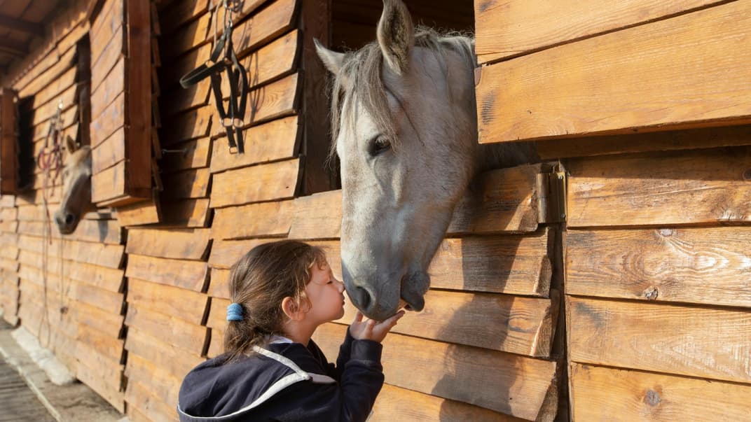 Ein Kind kuschelt mit einem Pferd Nase an Nase.