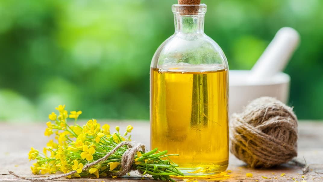 Flasche Öl und Rapsblüten.