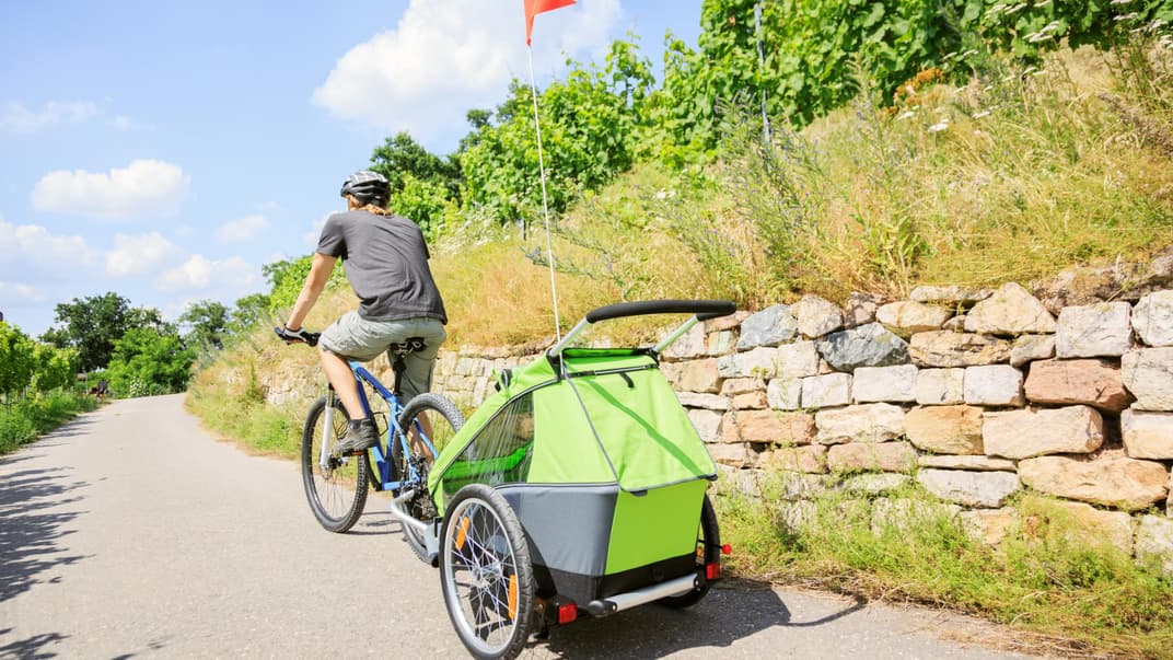 Alle Fahrradanhänger im Test rasseln durch.
