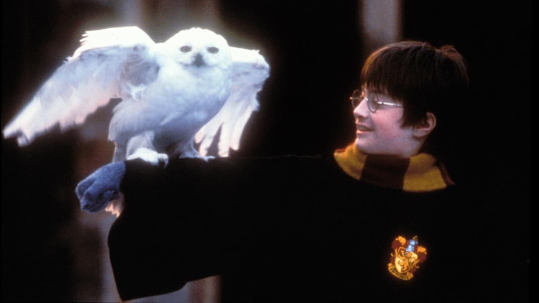 Harry Potter und Schneeeule Hedwig