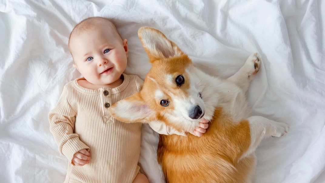 Baby kuschelt mit Hundewelpen.