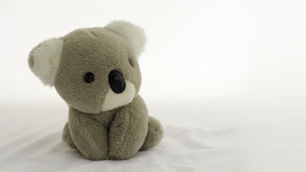 Ein Koala Kuscheltier