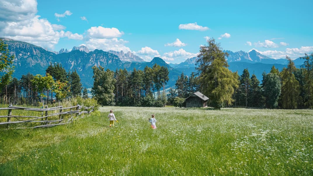 Kinder laufen über eine grüne Wiese in den Alpen.