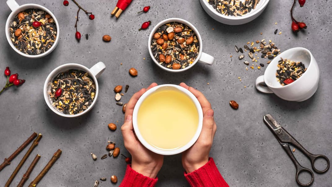Selbstgemachtes Vogelfutter in einer Tasse
