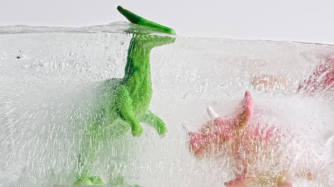 Zwei Dino-Spielfiguren sind in Eis eingefroren. 