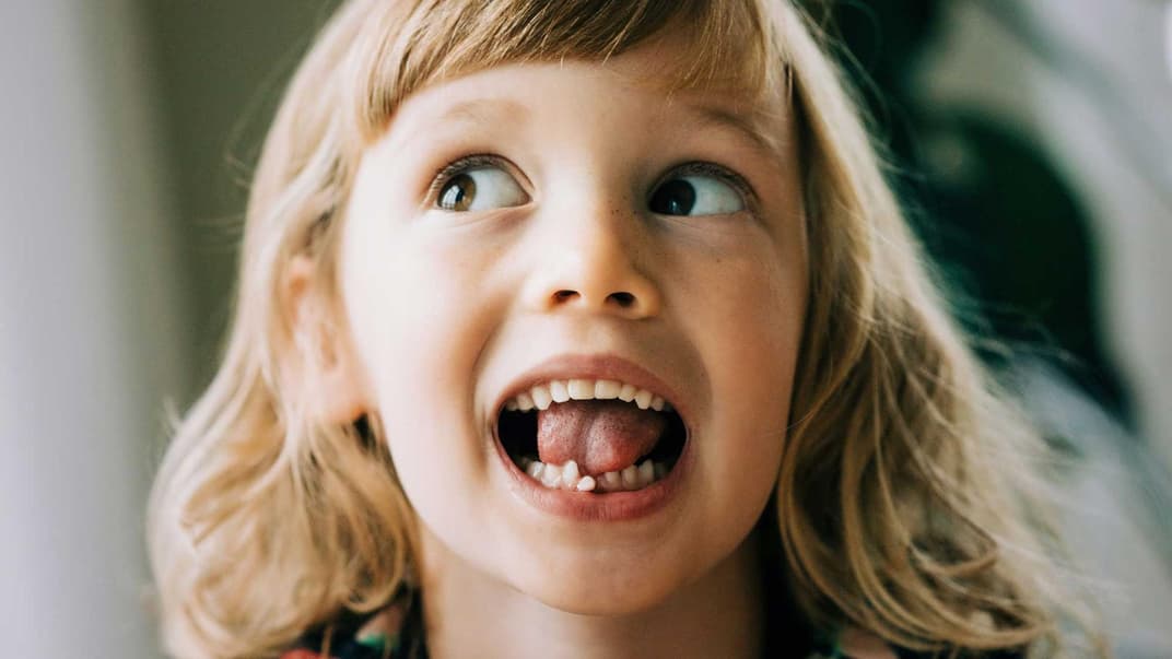 Spätestens, wenn der erste Zahn wackelt, wünschen sich Kinder eine Milchzahndose zur Aufbewahrung.
