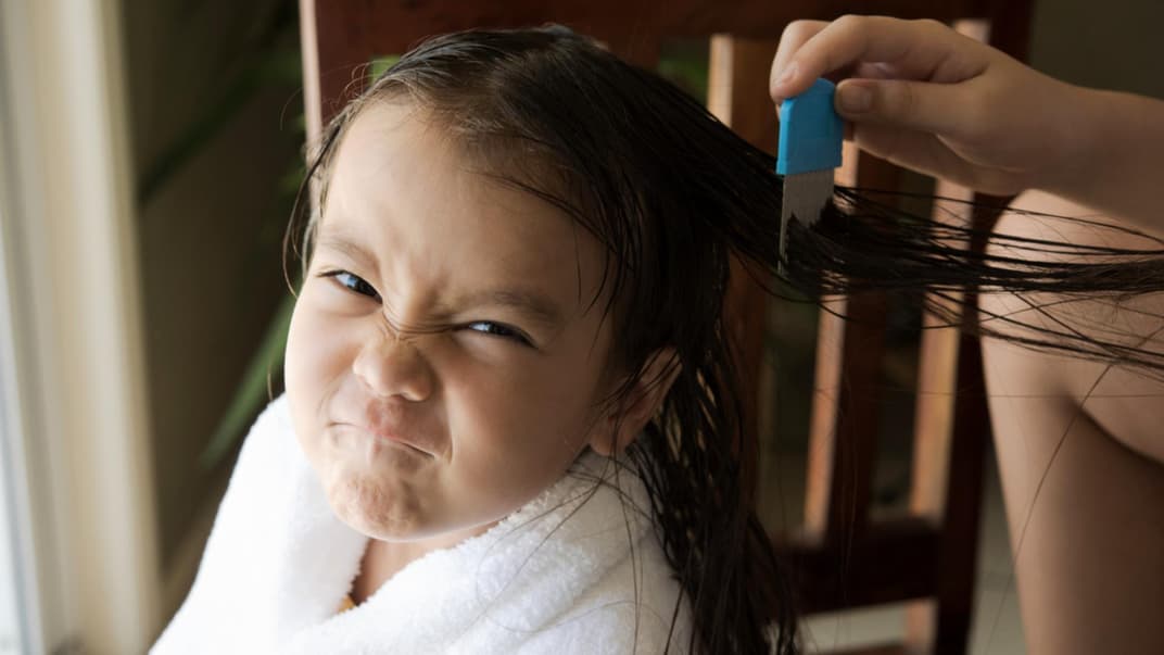 Mutter kämmt die Haare ihres Kindes mit einem Läusekamm aus.