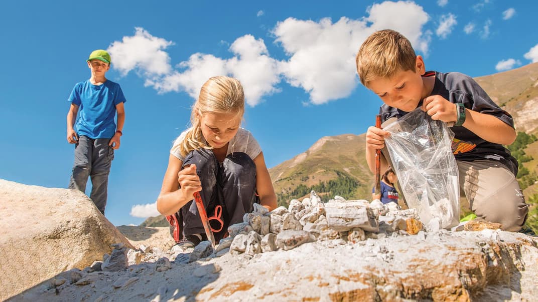 Kinder sammeln Edelsteine und Mineralien.