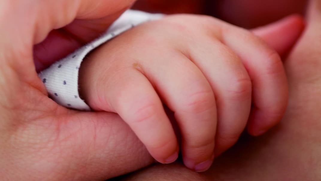 Babys müssen sich sicher und geborgen fühlen, um die Welt entdecken zu wollen.