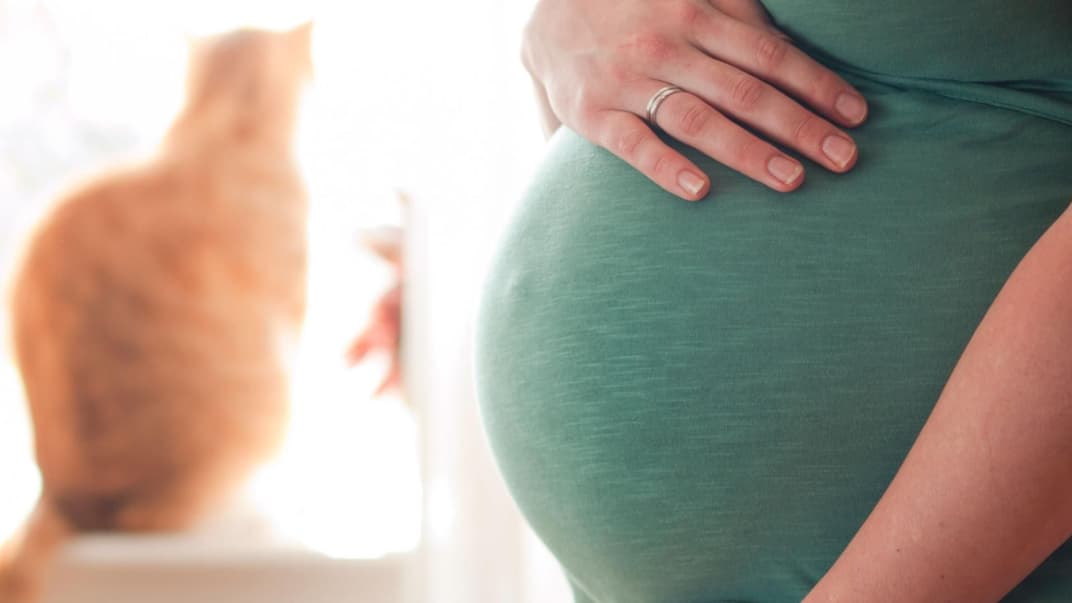 Eine schwangere Frau hält eine Hand auf ihren Babybauch.