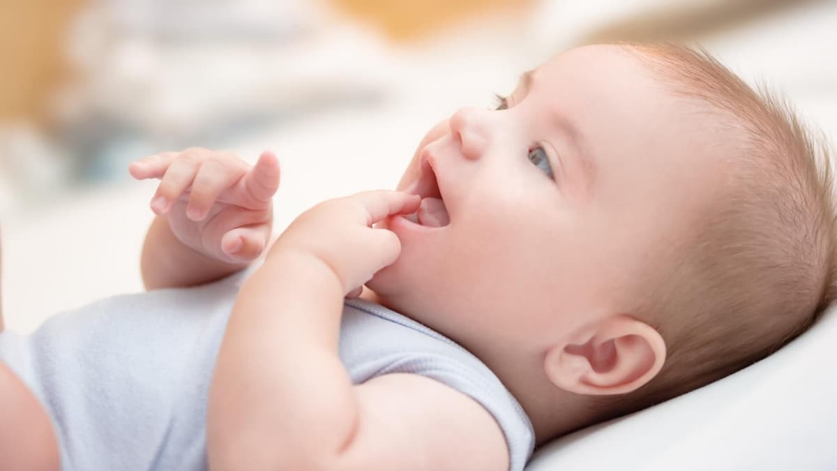 Orale Phase Störungen Und Folgen Orale Phase: Charakteristika, Hintergründe und mehr