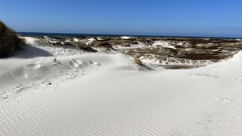 Dünen-Landschaft auf Bornholm 