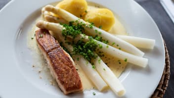 Spargel-Gericht