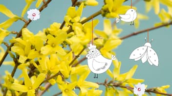 Ein Frühlingsstrauch mit Osteranhängern