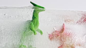 Zwei Dino-Spielfiguren sind in Eis eingefroren. 