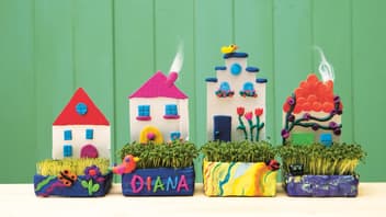 Die Kressehäuschen sind perfekt für kleine Hobbygärtner- und Hobbygärtnerinnen. 