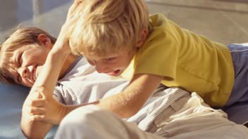 Wie oft stellen sich Eltern diese Frage: "Können sie sich nicht einfach vertragen?"