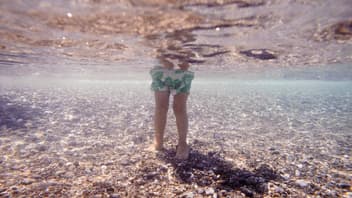 Gefahr durch das Petermännchen: Das Tragen von Badeschuhen sollte in Nord- und Ostsee zur Routine werden.