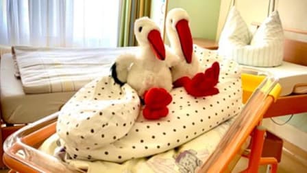 Rudolf Virchow Klinikum Glauchau gGmbH