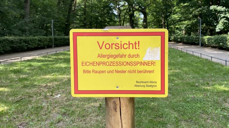 Warnhinweisschild Eichenprozessionsspinner