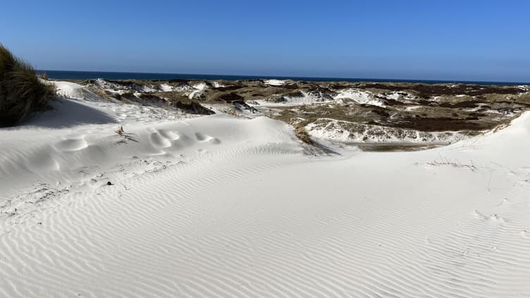 Dünen-Landschaft auf Bornholm 