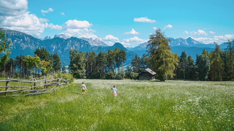 Kinder laufen über eine grüne Wiese in den Alpen.