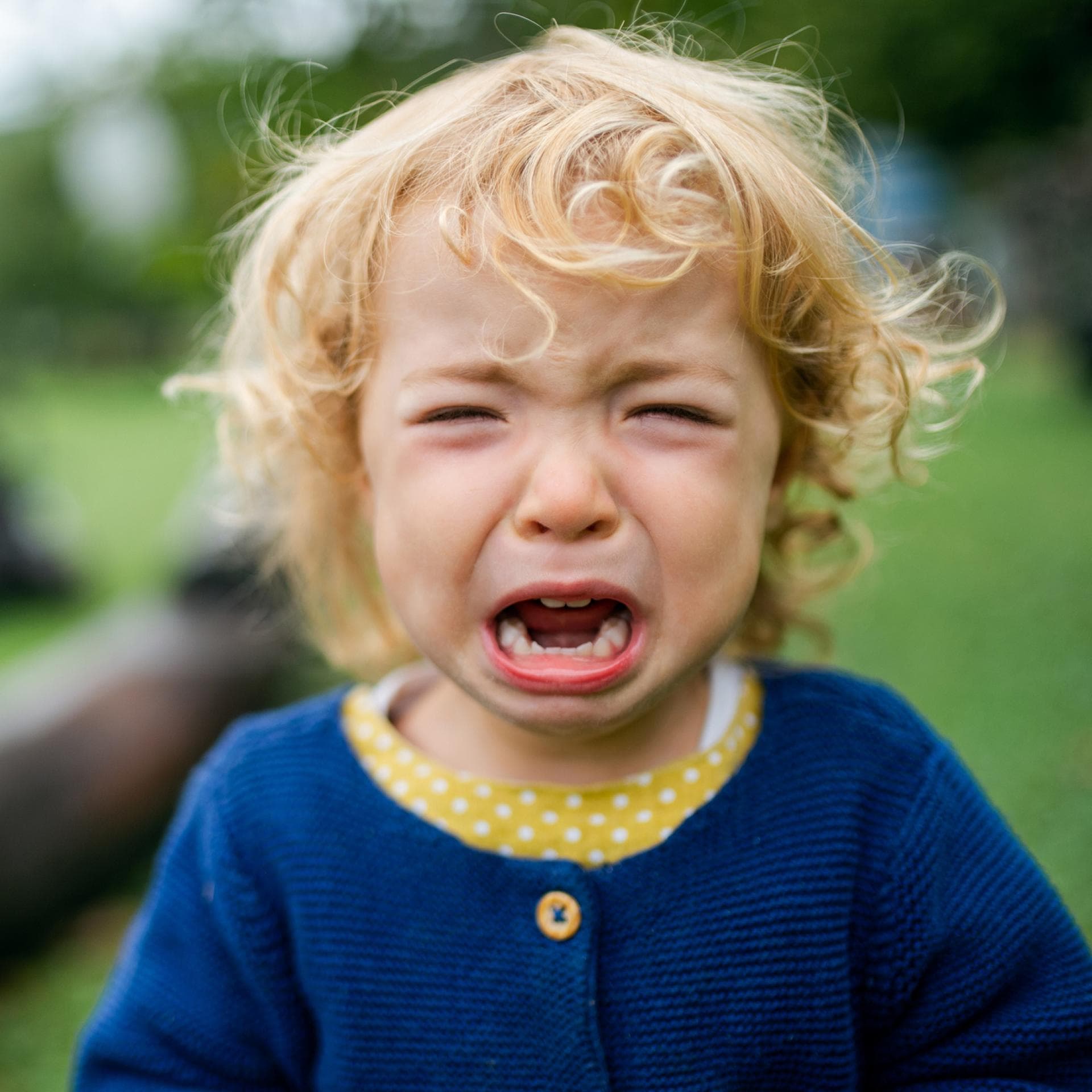 Auslöser für Wutanfälle bei Kindern