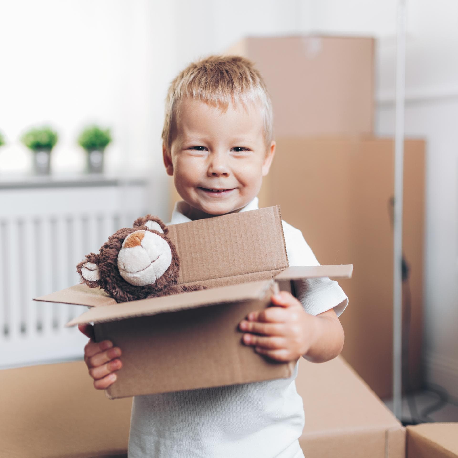 Junge trägt Umzugskiste.