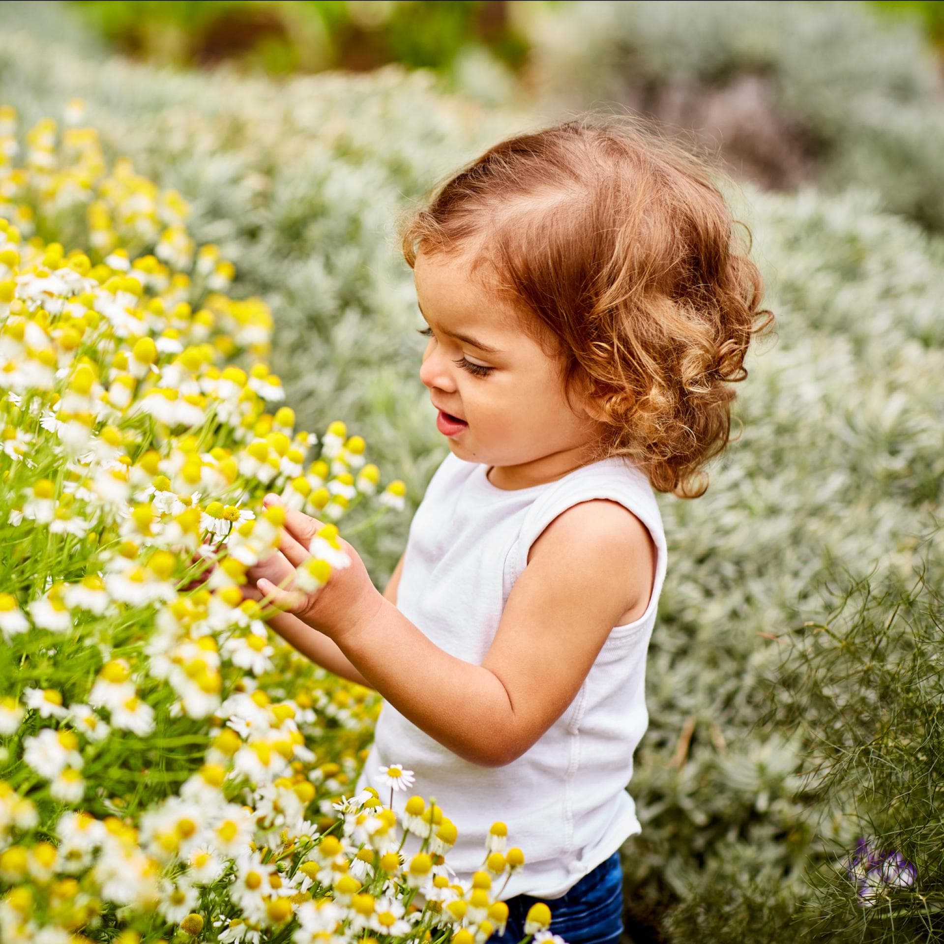 Ein kleines Mädchen steht auf einer Blumenwiese und greift nach einer Blüte.