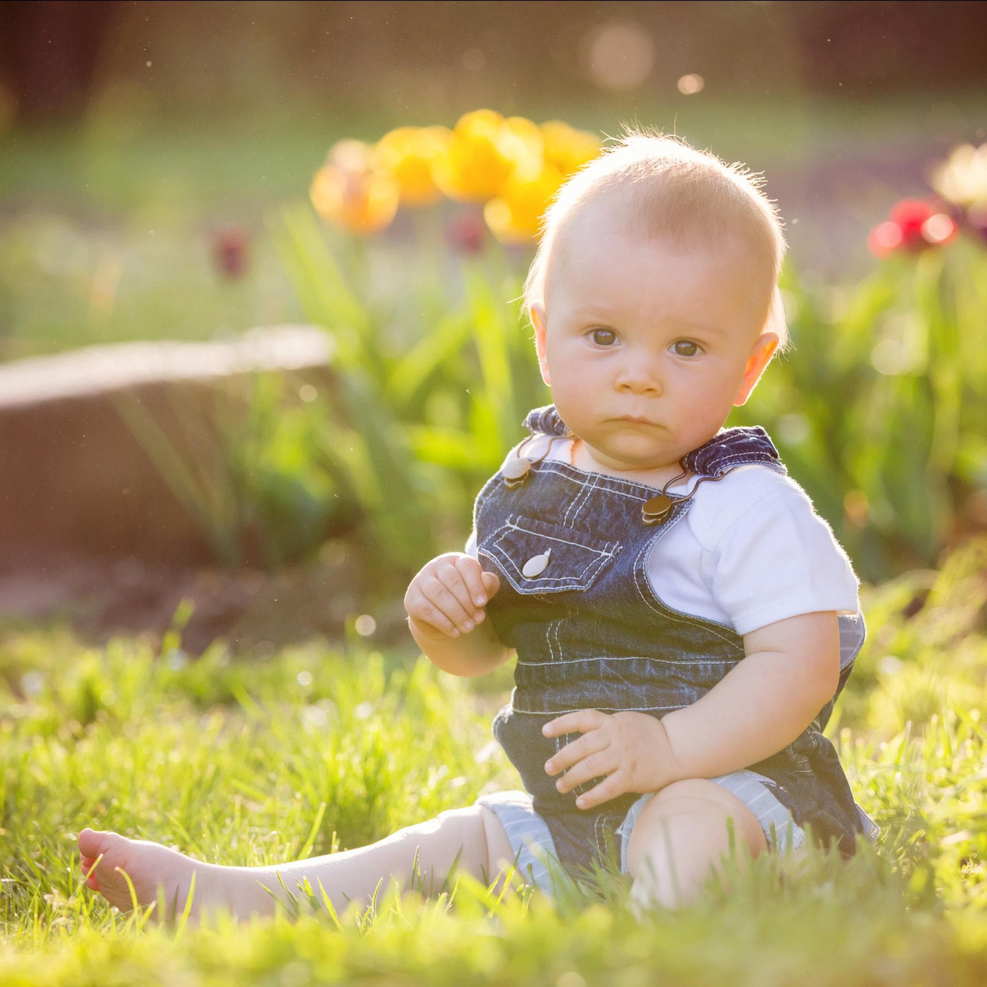 Ein kleiner Junge sitzt auf dem Gras und staunt.