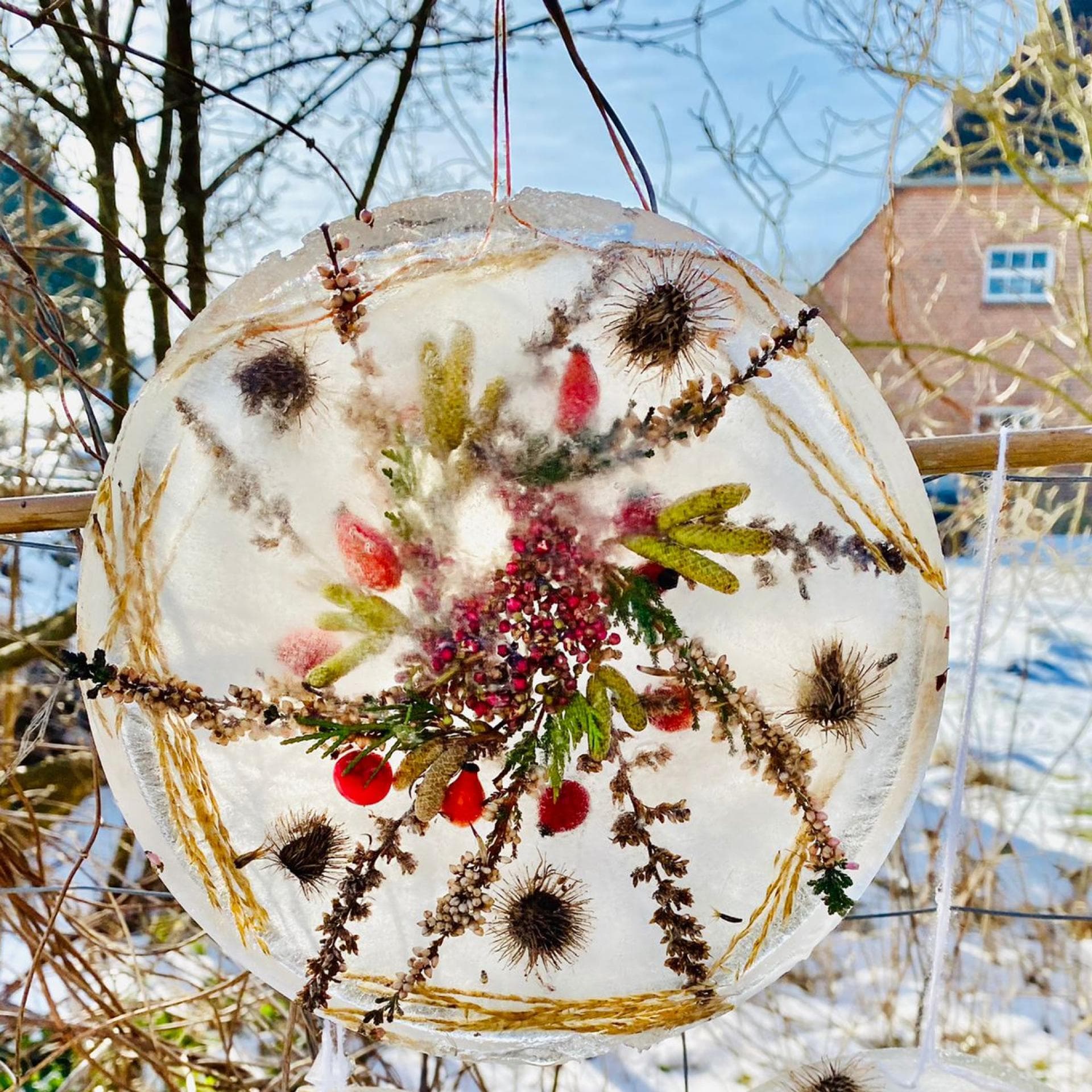 So ein hübsches Eisbild lässt sich ganz einfach herstellen.