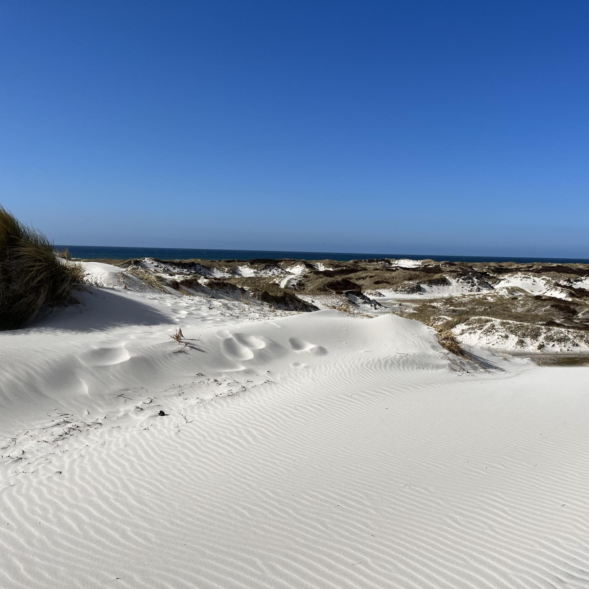 Dünen-Landschaft auf Bornholm 