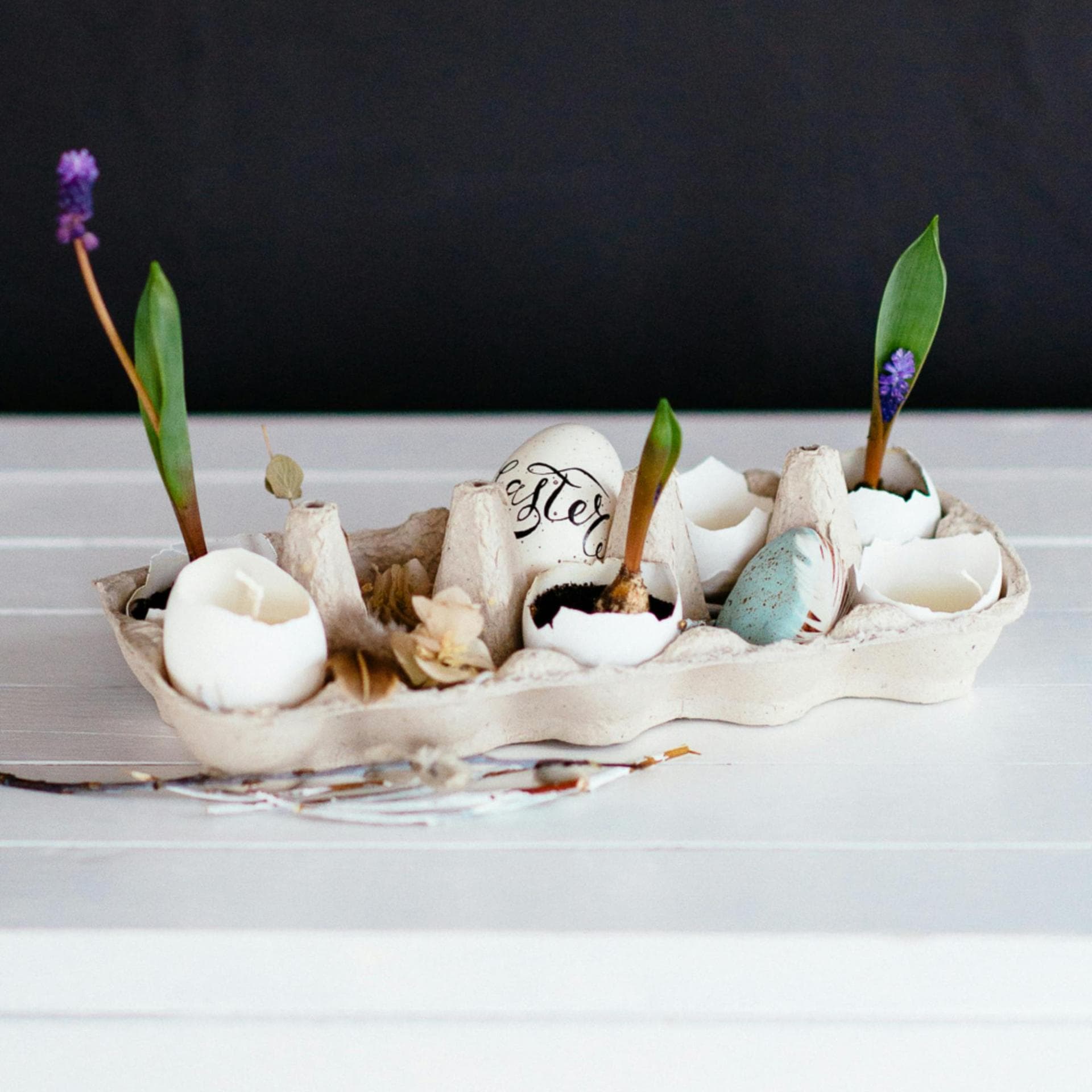 Mit Eierschalen basteln: hübsche Ideen