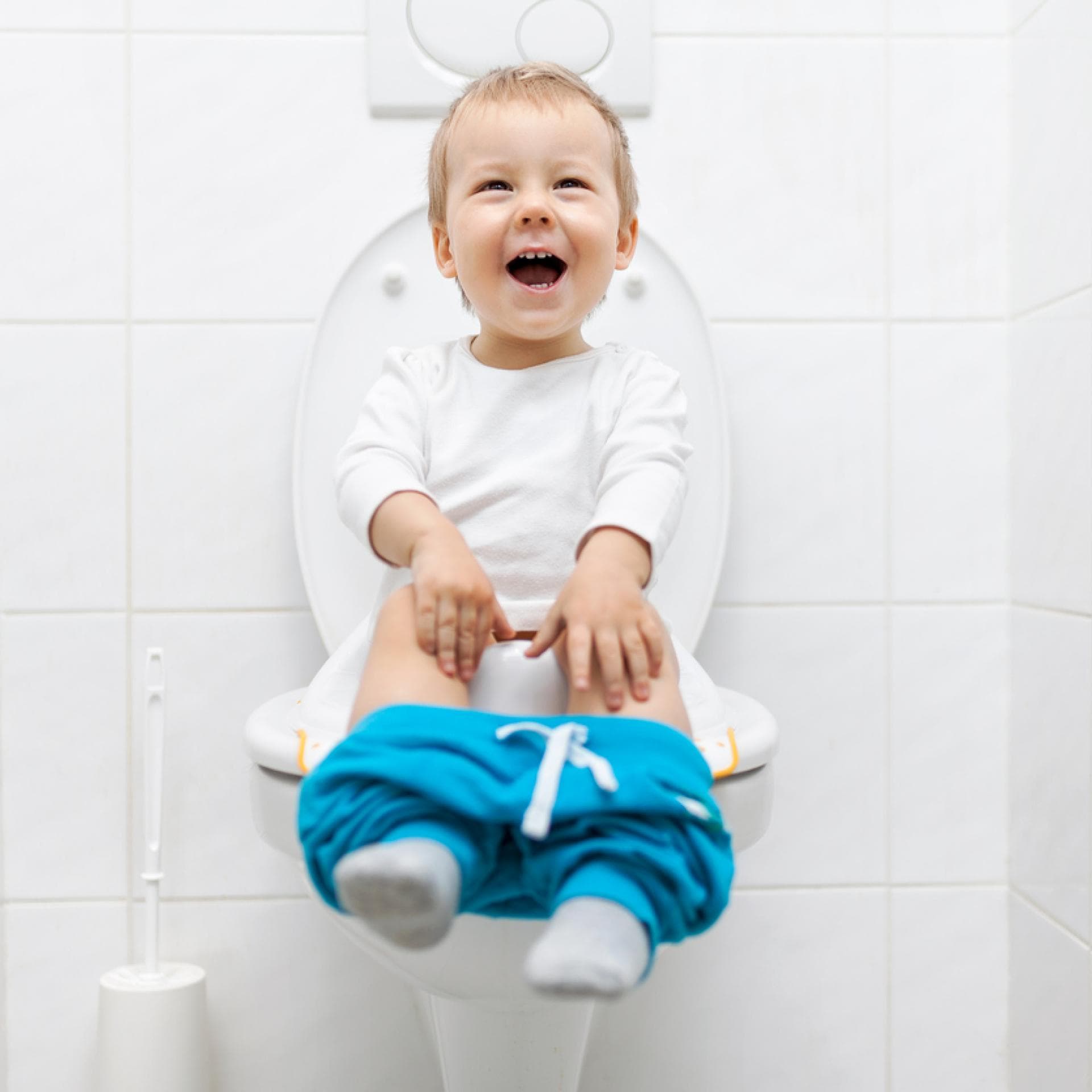 Ein schwedischer Bestseller soll Eltern beim Töpfchentraining helfen.