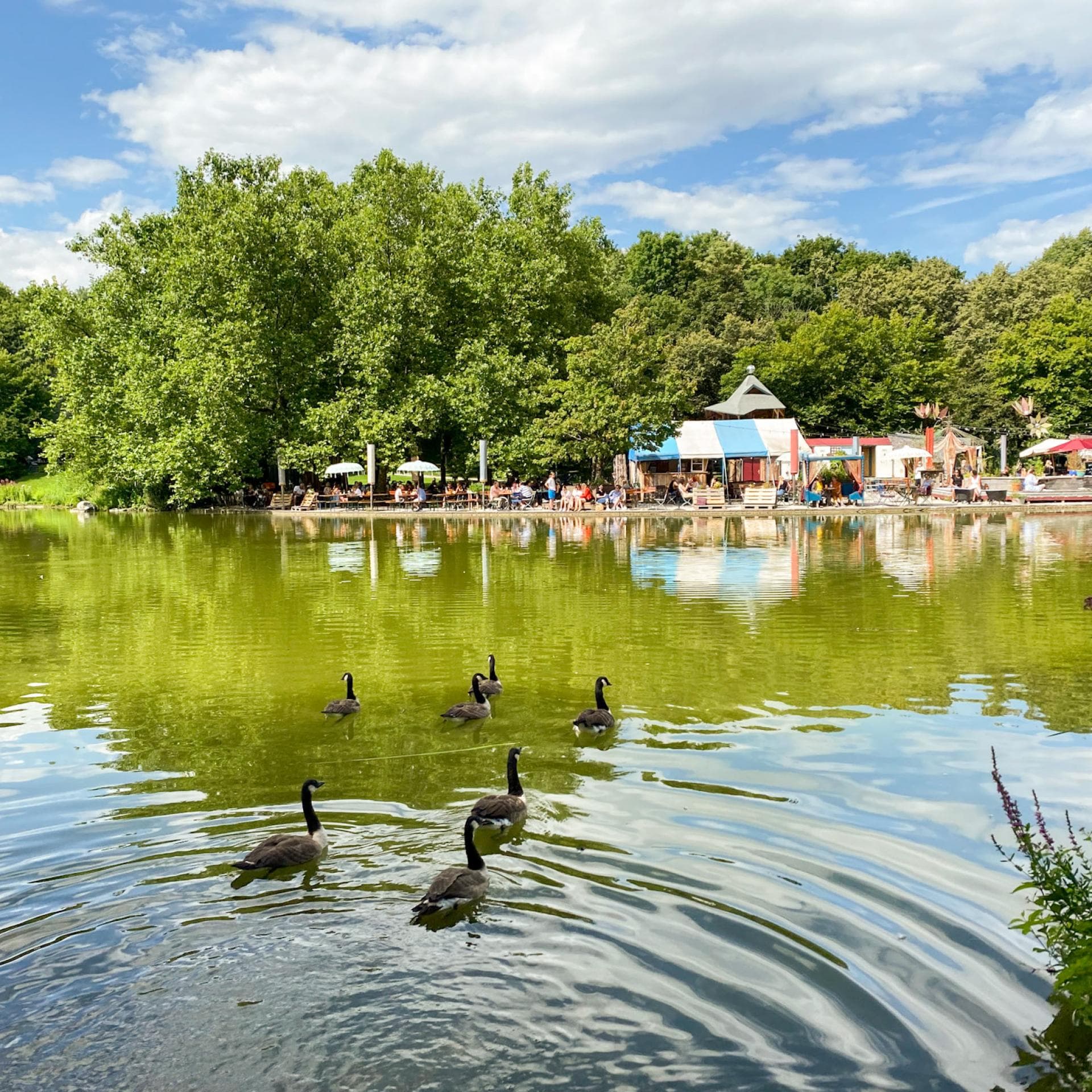 "Gans am Wasser" in München