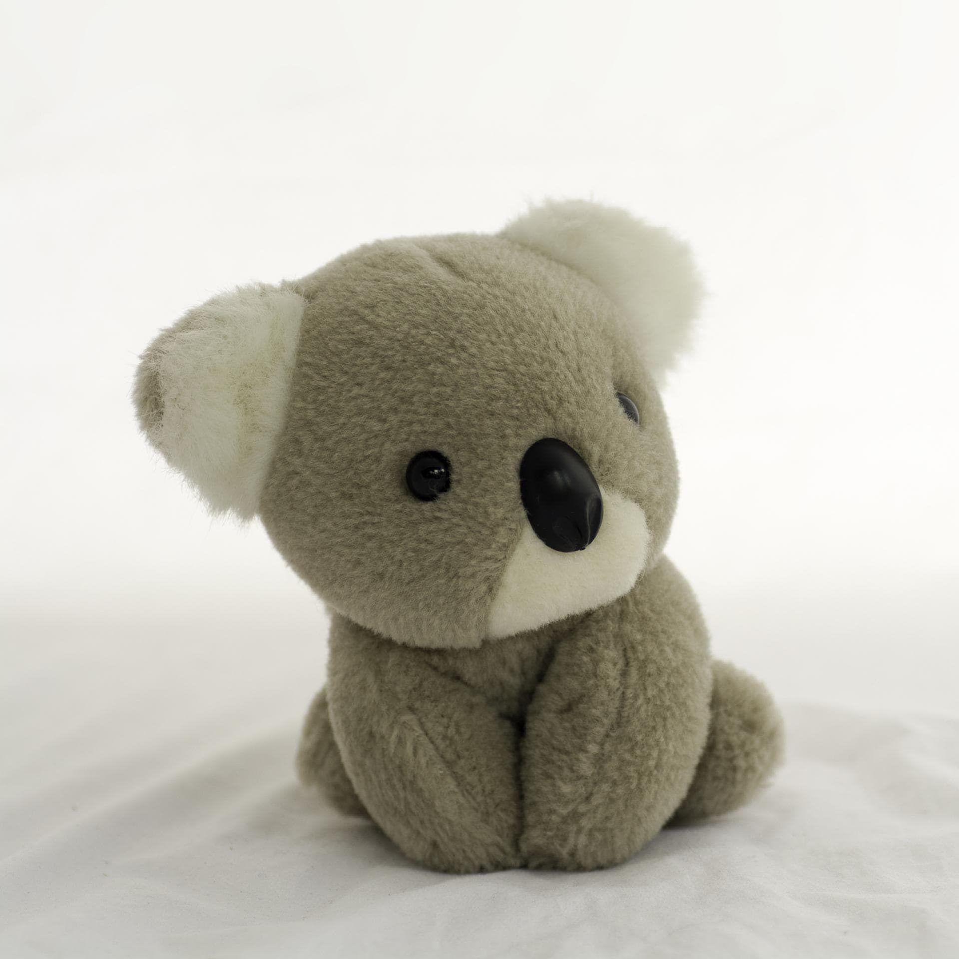 Ein Koala Kuscheltier