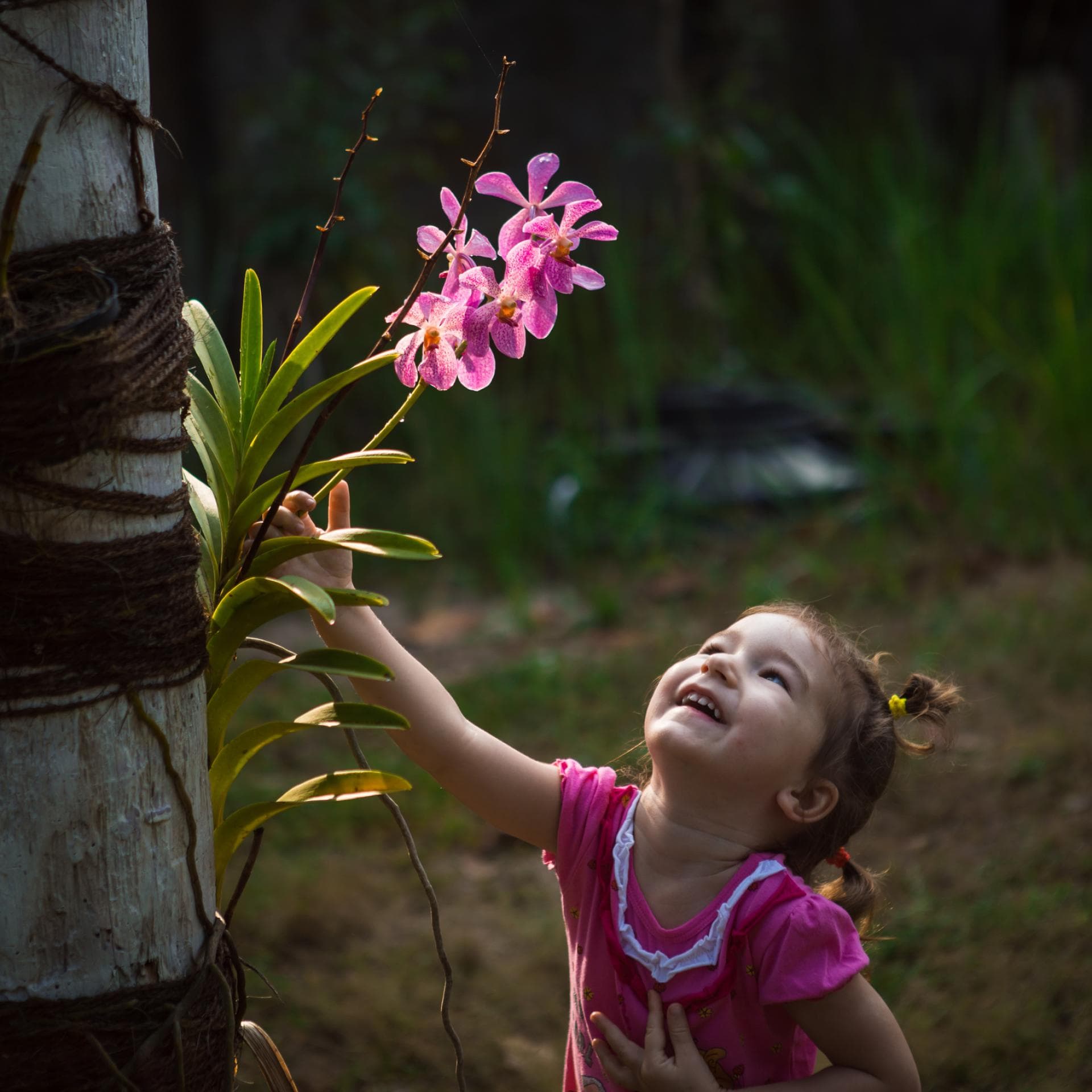 Kleines Kind bestaunt Orchidee