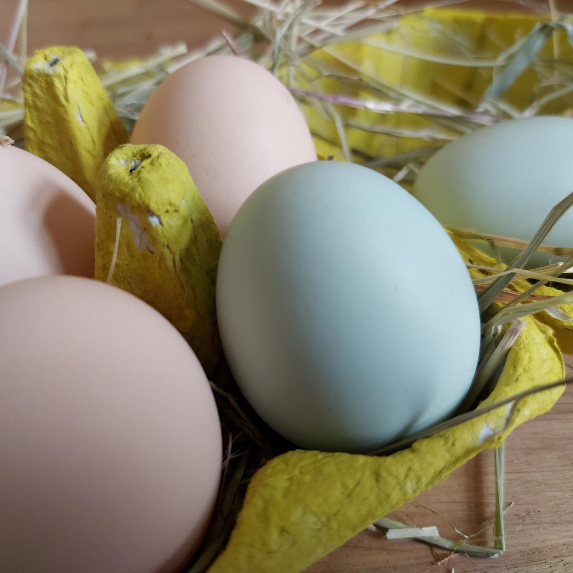 Bunter Eierkarton als Osternest.