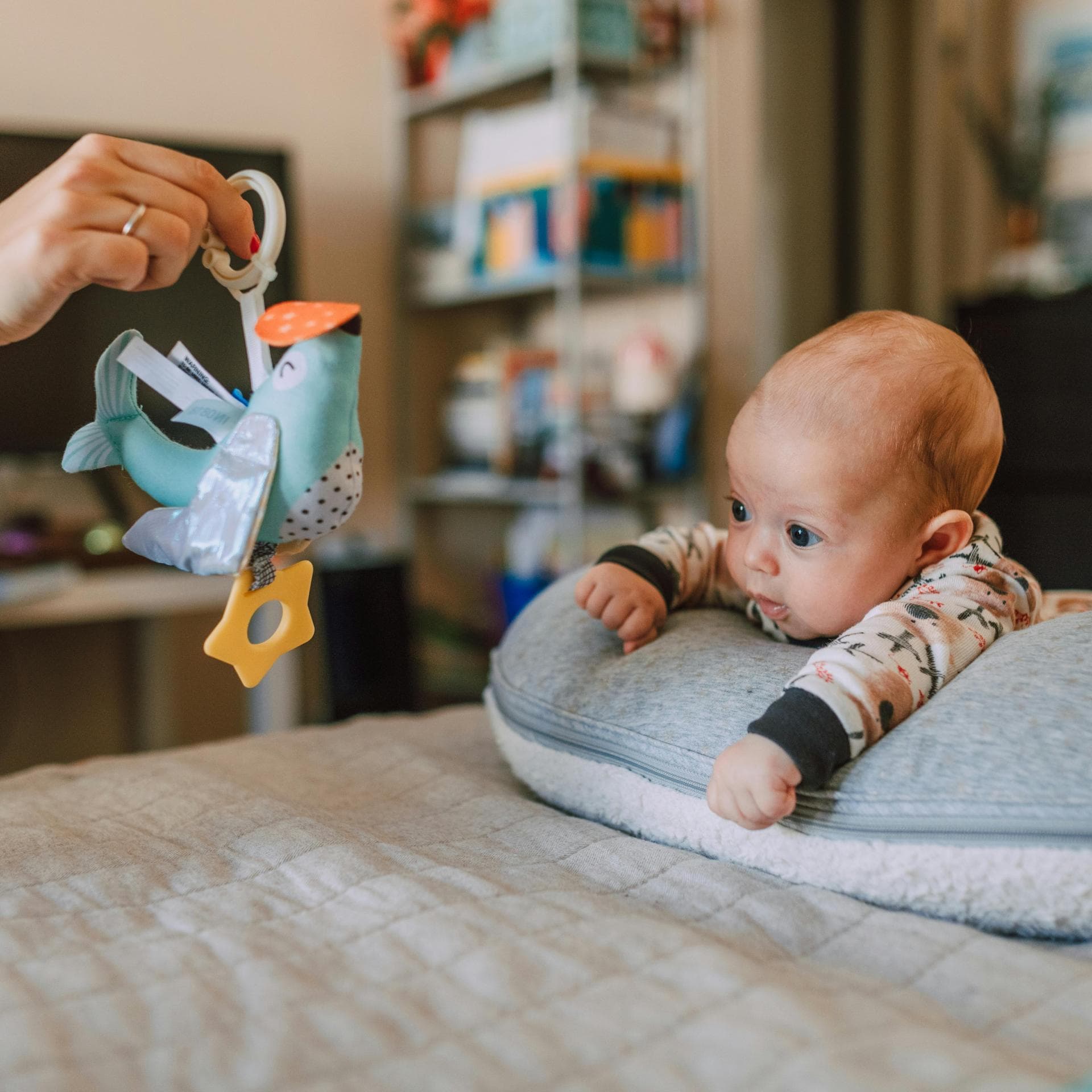 Ein Baby, das mit einem Vogel spielt